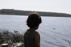 Lagoa da Frouxeira en Valdoviño, espacio protegido que alberga multitud de especies migratorias.