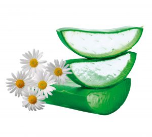 Aloevera Camomile